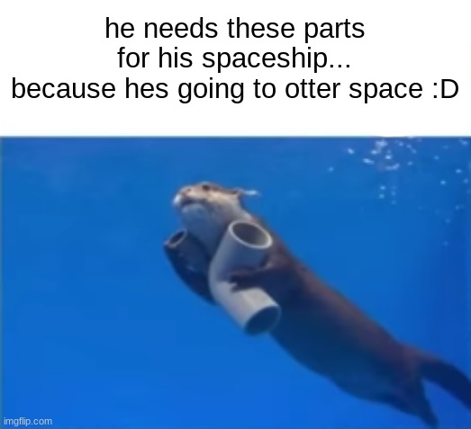 small step for otter, large step for otter kind! | he needs these parts for his spaceship...
because hes going to otter space :D | image tagged in otter,space | made w/ Imgflip meme maker