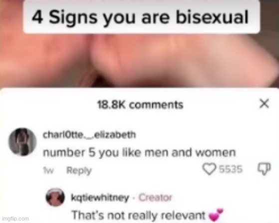i think someone already posted this but idrc | image tagged in bisexual | made w/ Imgflip meme maker