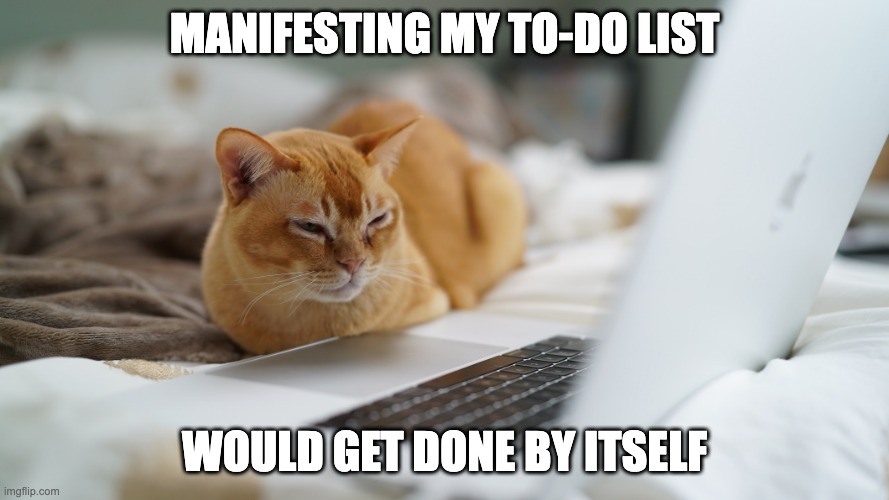 todo-list | MANIFESTING MY TO-DO LIST; WOULD GET DONE BY ITSELF | image tagged in job,work | made w/ Imgflip meme maker