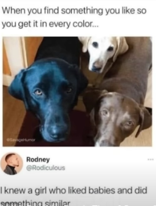 a wholesome meme followed by a cursed comment | image tagged in wholesome,cursed,you have been eternally cursed for reading the tags | made w/ Imgflip meme maker