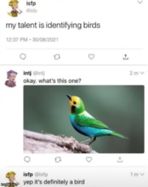 yep thats a bird | image tagged in bird,identify,talent | made w/ Imgflip meme maker