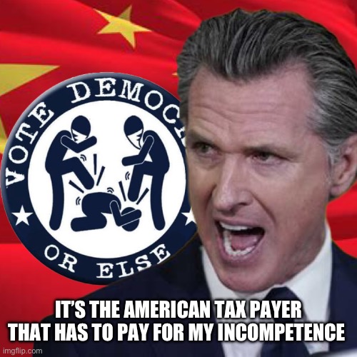 Gavin can’t get worst | IT’S THE AMERICAN TAX PAYER THAT HAS TO PAY FOR MY INCOMPETENCE | image tagged in vote d or else | made w/ Imgflip meme maker