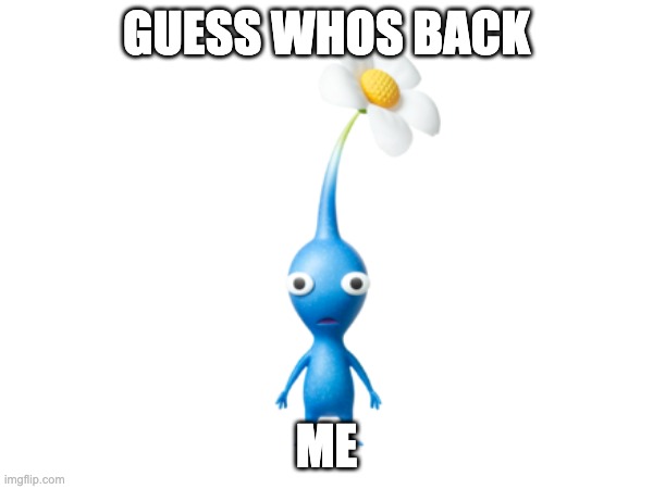 Everybody, im back | GUESS WHOS BACK; ME | image tagged in im back | made w/ Imgflip meme maker