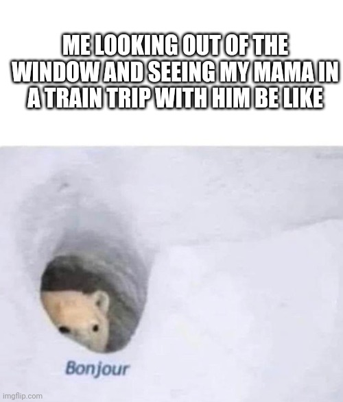 this happened to me last year | ME LOOKING OUT OF THE WINDOW AND SEEING MY MAMA IN A TRAIN TRIP WITH HIM BE LIKE | image tagged in bonjour | made w/ Imgflip meme maker