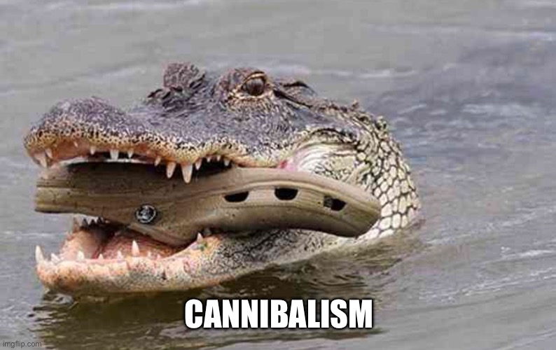 Crocodile=Crocs | CANNIBALISM | image tagged in memes,funny,crocodile,crocs | made w/ Imgflip meme maker
