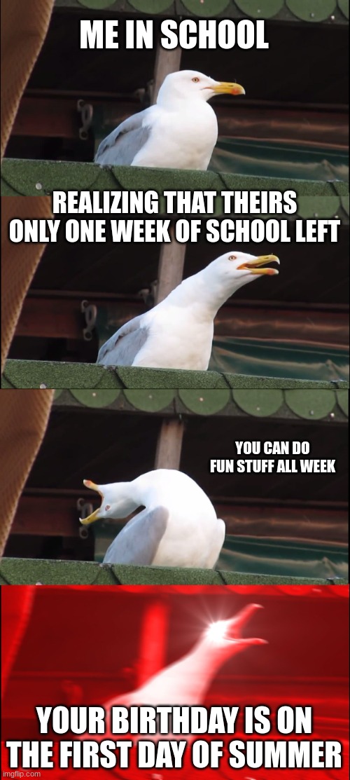 Inhaling Seagull Meme | ME IN SCHOOL; REALIZING THAT THEIRS ONLY ONE WEEK OF SCHOOL LEFT; YOU CAN DO FUN STUFF ALL WEEK; YOUR BIRTHDAY IS ON THE FIRST DAY OF SUMMER | image tagged in memes,inhaling seagull | made w/ Imgflip meme maker