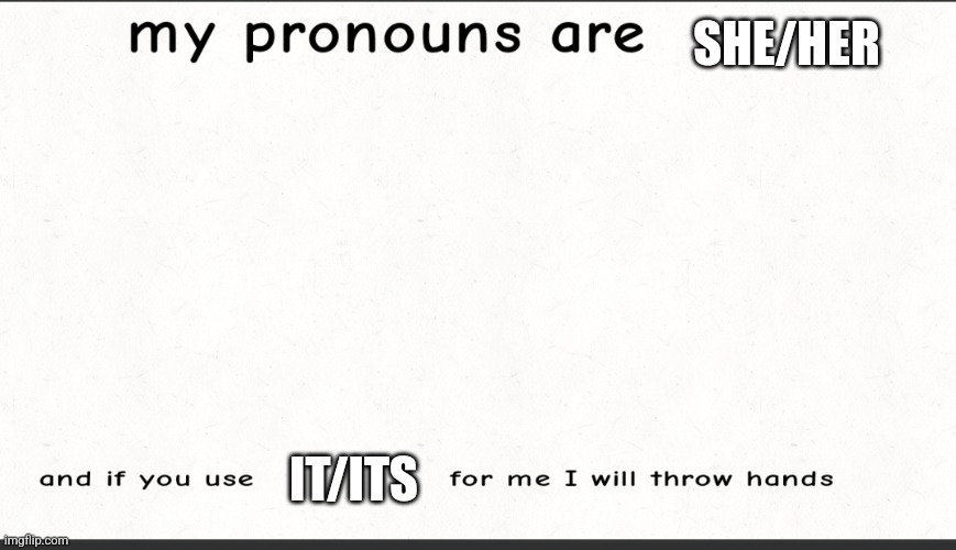 Made for the trans and non binary folks | SHE/HER; IT/ITS | image tagged in get it right | made w/ Imgflip meme maker