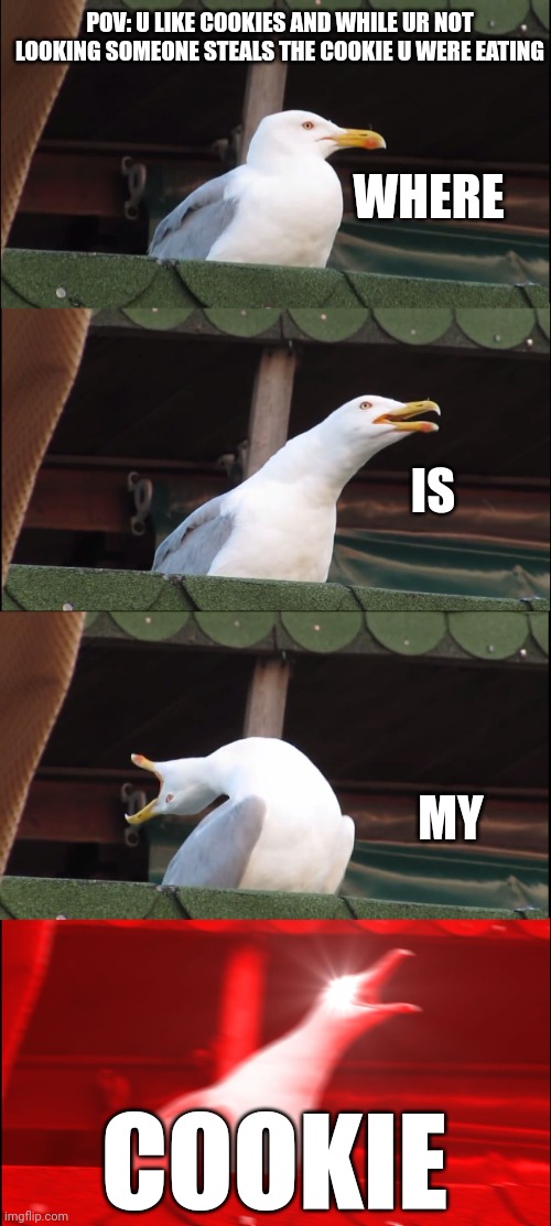 Inhaling Seagull Meme | POV: U LIKE COOKIES AND WHILE UR NOT LOOKING SOMEONE STEALS THE COOKIE U WERE EATING; WHERE; IS; MY; COOKIE | image tagged in memes,inhaling seagull | made w/ Imgflip meme maker