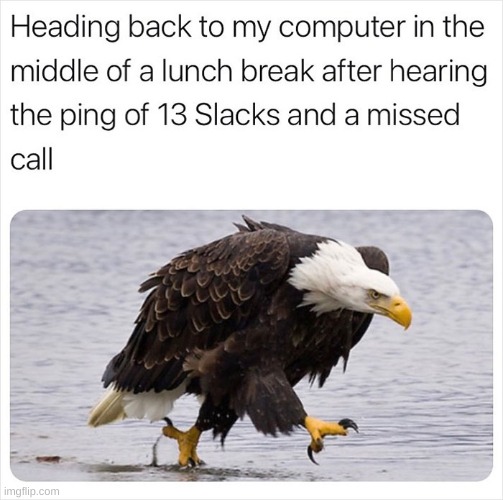 image tagged in memes,funny | made w/ Imgflip meme maker