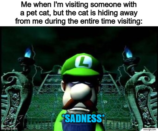 I just wanted to pet you... T-T | Me when I'm visiting someone with a pet cat, but the cat is hiding away from me during the entire time visiting:; *SADNESS* | image tagged in depressed luigi | made w/ Imgflip meme maker