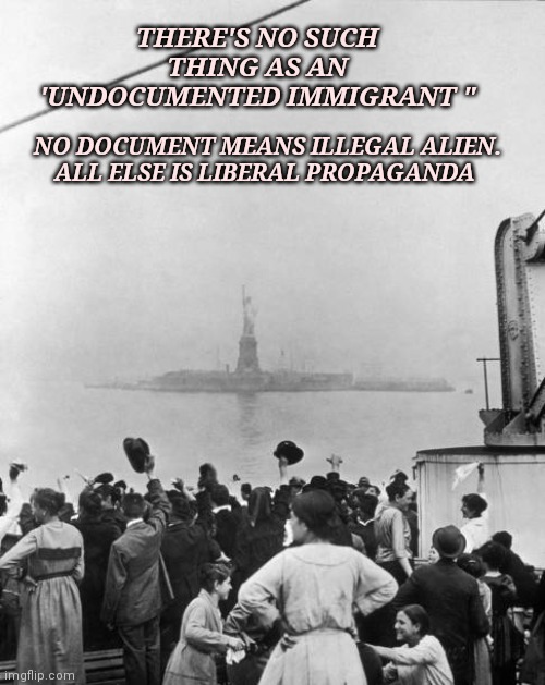 Immigrants | THERE'S NO SUCH THING AS AN 'UNDOCUMENTED IMMIGRANT "; NO DOCUMENT MEANS ILLEGAL ALIEN.
ALL ELSE IS LIBERAL PROPAGANDA | image tagged in immigrants | made w/ Imgflip meme maker