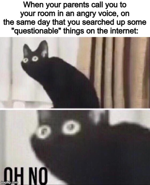 Uh oh... | When your parents call you to your room in an angry voice, on the same day that you searched up some "questionable" things on the internet: | image tagged in oh no cat | made w/ Imgflip meme maker