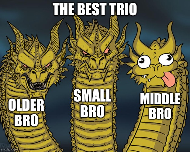 Three-headed Dragon | THE BEST TRIO; SMALL BRO; MIDDLE BRO; OLDER BRO | image tagged in three-headed dragon | made w/ Imgflip meme maker