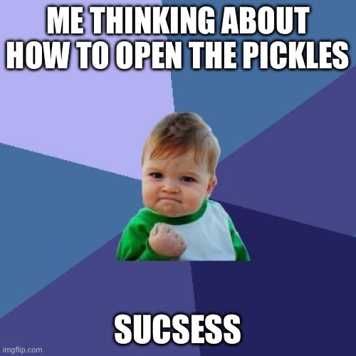 Success Kid | ME THINKING ABOUT HOW TO OPEN THE PICKLES; SUCSESS | image tagged in memes,success kid | made w/ Imgflip meme maker