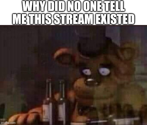 Why? | WHY DID NO ONE TELL ME THIS STREAM EXISTED | image tagged in sad freddy | made w/ Imgflip meme maker