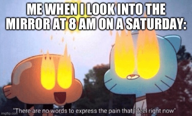 morning face x-x | ME WHEN I LOOK INTO THE MIRROR AT 8 AM ON A SATURDAY: | image tagged in there are no words to express the pain that i feel right now | made w/ Imgflip meme maker