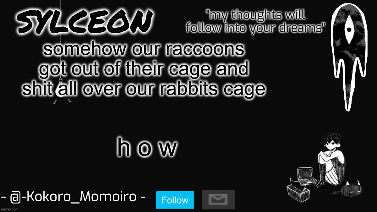 blackspace. | somehow our raccoons got out of their cage and shit all over our rabbits cage; h o w | image tagged in blackspace | made w/ Imgflip meme maker