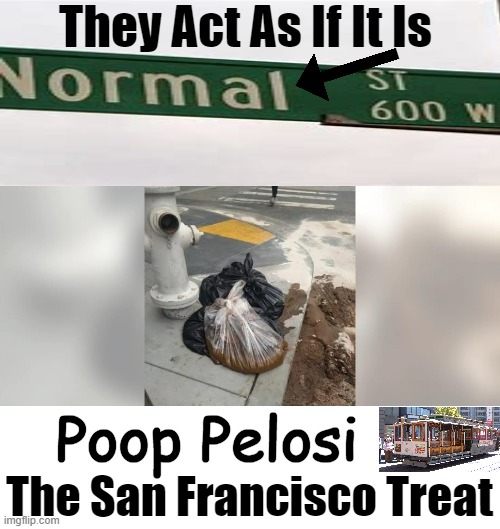 The Shitty by the Bay | Poop Pelosi; The San Francisco Treat | image tagged in politics,san francisco,nancy pelosi,streets,why can't you just be normal,political humor | made w/ Imgflip meme maker