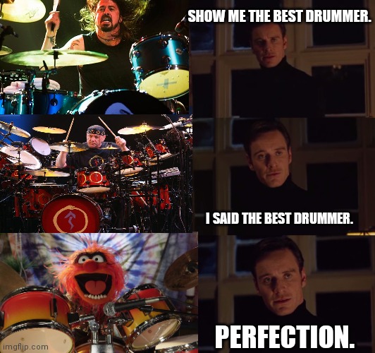Show me the best drummer | SHOW ME THE BEST DRUMMER. I SAID THE BEST DRUMMER. PERFECTION. | image tagged in perfection | made w/ Imgflip meme maker