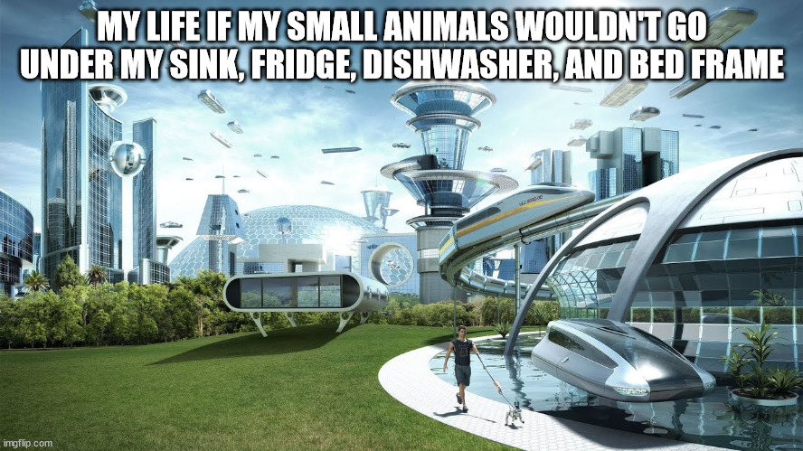 Life if | MY LIFE IF MY SMALL ANIMALS WOULDN'T GO UNDER MY SINK, FRIDGE, DISHWASHER, AND BED FRAME | image tagged in life if | made w/ Imgflip meme maker
