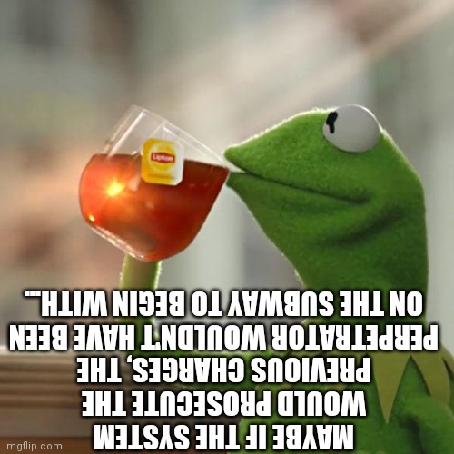 But That's None Of My Business Meme | MAYBE IF THE SYSTEM WOULD PROSECUTE THE PREVIOUS CHARGES, THE PERPETRATOR WOULDN'T HAVE BEEN ON THE SUBWAY TO BEGIN WITH... | image tagged in memes,but that's none of my business,kermit the frog | made w/ Imgflip meme maker