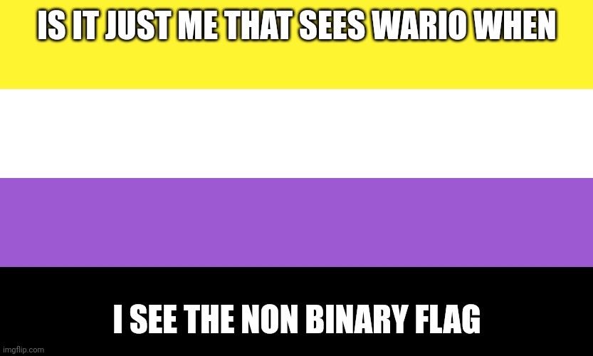 No offense to any one (SF: I'm non binary and I cannot unsee it now) | IS IT JUST ME THAT SEES WARIO WHEN; I SEE THE NON BINARY FLAG | image tagged in nonbinary | made w/ Imgflip meme maker