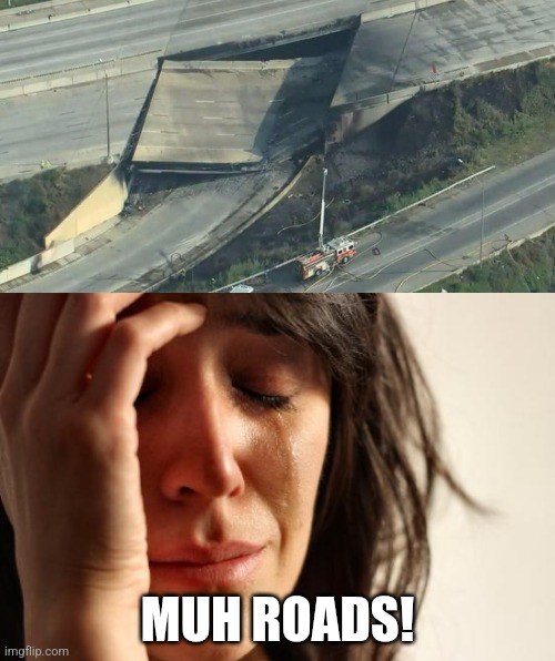 nature is healing | MUH ROADS! | image tagged in memes,first world problems | made w/ Imgflip meme maker