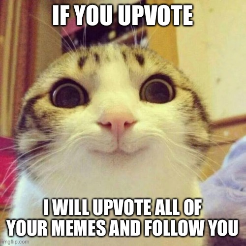 Smiling Cat | IF YOU UPVOTE; I WILL UPVOTE ALL OF YOUR MEMES AND FOLLOW YOU | image tagged in memes,smiling cat | made w/ Imgflip meme maker