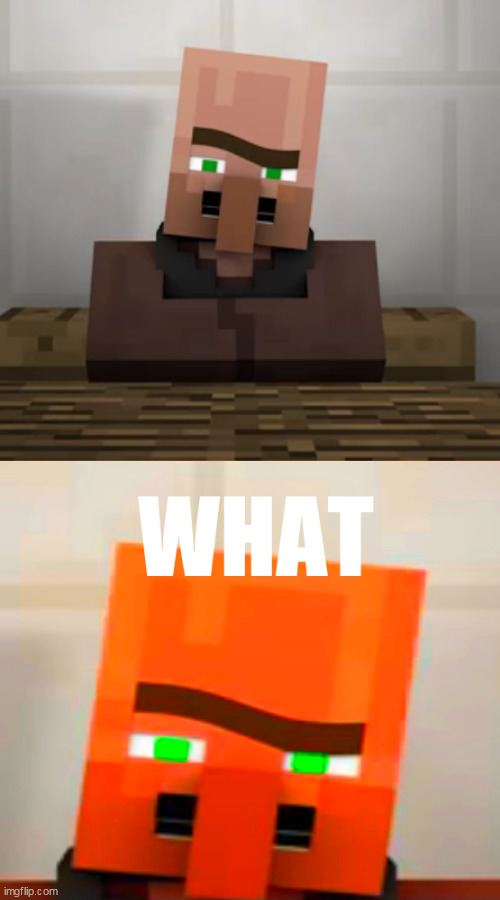 villager what | image tagged in villager what | made w/ Imgflip meme maker