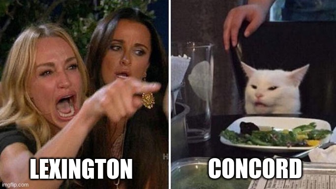 Angry lady cat | LEXINGTON; CONCORD | image tagged in angry lady cat | made w/ Imgflip meme maker