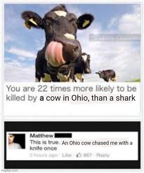 Ohio problems | a cow in Ohio, than a shark; An Ohio cow chased me with a | image tagged in only in ohio,cow | made w/ Imgflip meme maker