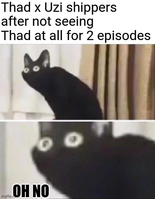 Oh No Black Cat | Thad x Uzi shippers after not seeing Thad at all for 2 episodes; OH NO | image tagged in oh no black cat,thad the chad | made w/ Imgflip meme maker