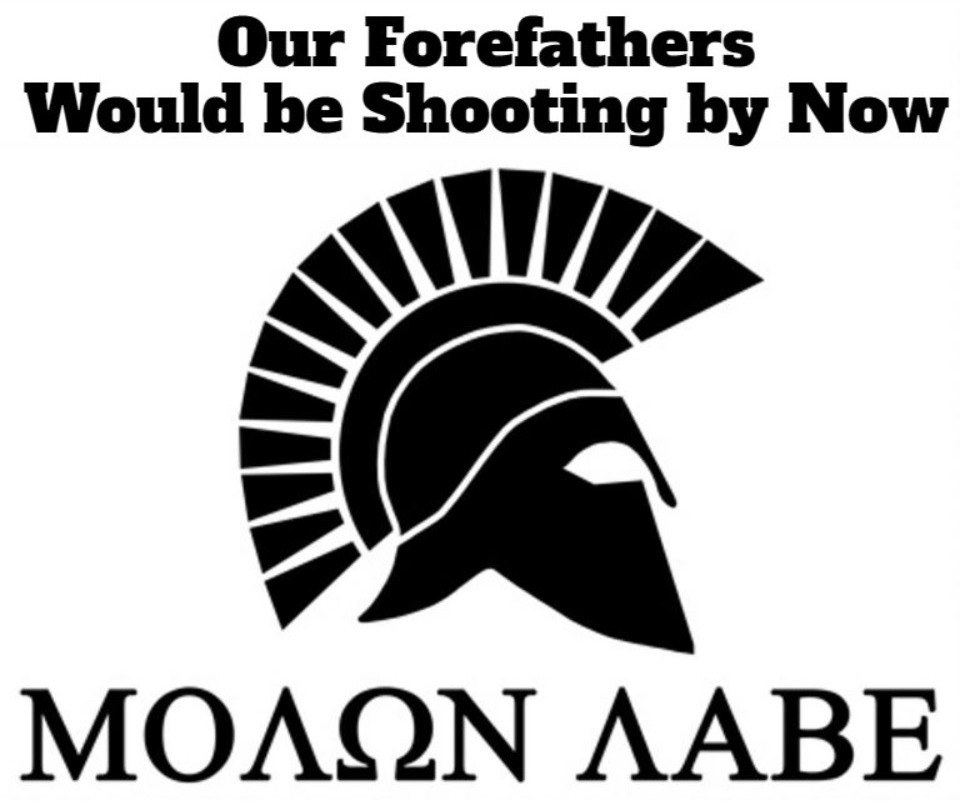 Our Forefathers would be shooting by now. | image tagged in forefathers,american revolution,civil war 2,american revolution 2,shtf,militia | made w/ Imgflip meme maker