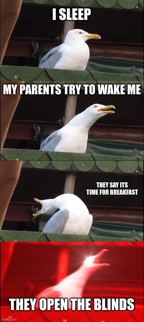 has anyone had this feeling before? | I SLEEP; MY PARENTS TRY TO WAKE ME; THEY SAY ITS TIME FOR BREAKFAST; THEY OPEN THE BLINDS | image tagged in memes,inhaling seagull | made w/ Imgflip meme maker