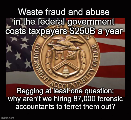 Waste fraud and abuse in the federal government costs taxpayers $250B a year | Waste fraud and abuse
in the federal government
costs taxpayers $250B a year; Begging at least one question;
why aren't we hiring 87,000 forensic
accountants to ferret them out? | image tagged in waste,fraud,abuse,federal government,waste fraud and abuse | made w/ Imgflip meme maker