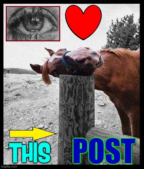 "Love, look at the 2 of us. Strangers in many ways." —Karen Carpenter | THIS POST | image tagged in vince vance,horses,horse sense,i love this post,memes,horsing around | made w/ Imgflip meme maker