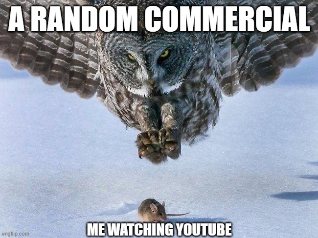 Owl Hunts Mouse | A RANDOM COMMERCIAL; ME WATCHING YOUTUBE | image tagged in owl hunts mouse | made w/ Imgflip meme maker