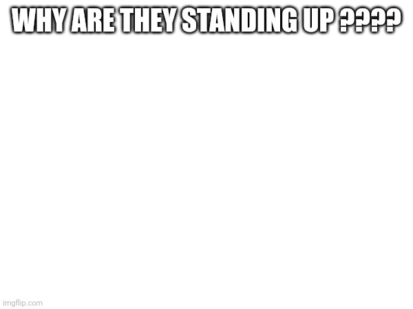 WHY ARE THEY STANDING UP ???? | made w/ Imgflip meme maker
