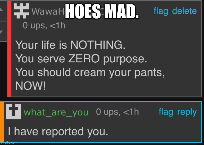 HOES MAD. | made w/ Imgflip meme maker