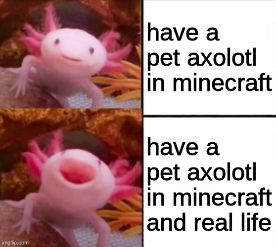 axolotl drake | have a pet axolotl in minecraft; have a pet axolotl in minecraft and real life | image tagged in axolotl drake | made w/ Imgflip meme maker