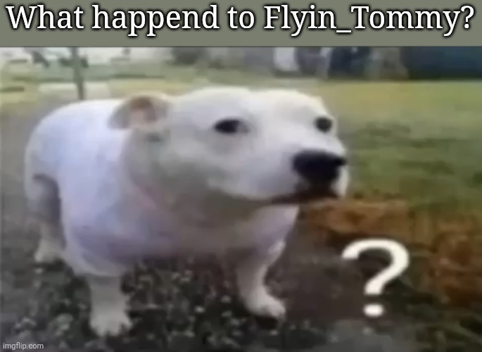 ? | What happend to Flyin_Tommy? | made w/ Imgflip meme maker