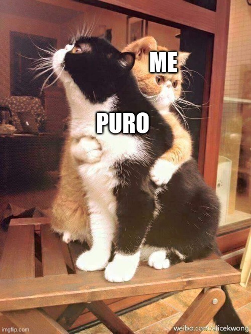 cats hugging | ME PURO | image tagged in cats hugging | made w/ Imgflip meme maker