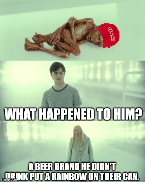 Dead Baby Voldemort / What Happened To Him | WHAT HAPPENED TO HIM? A BEER BRAND HE DIDN'T DRINK PUT A RAINBOW ON THEIR CAN. | image tagged in dead baby voldemort / what happened to him | made w/ Imgflip meme maker