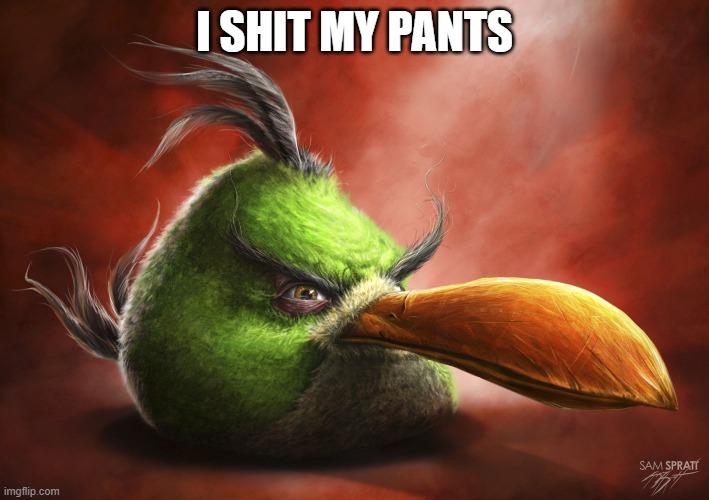 i pooped | I SHIT MY PANTS | image tagged in realistic angry bird | made w/ Imgflip meme maker