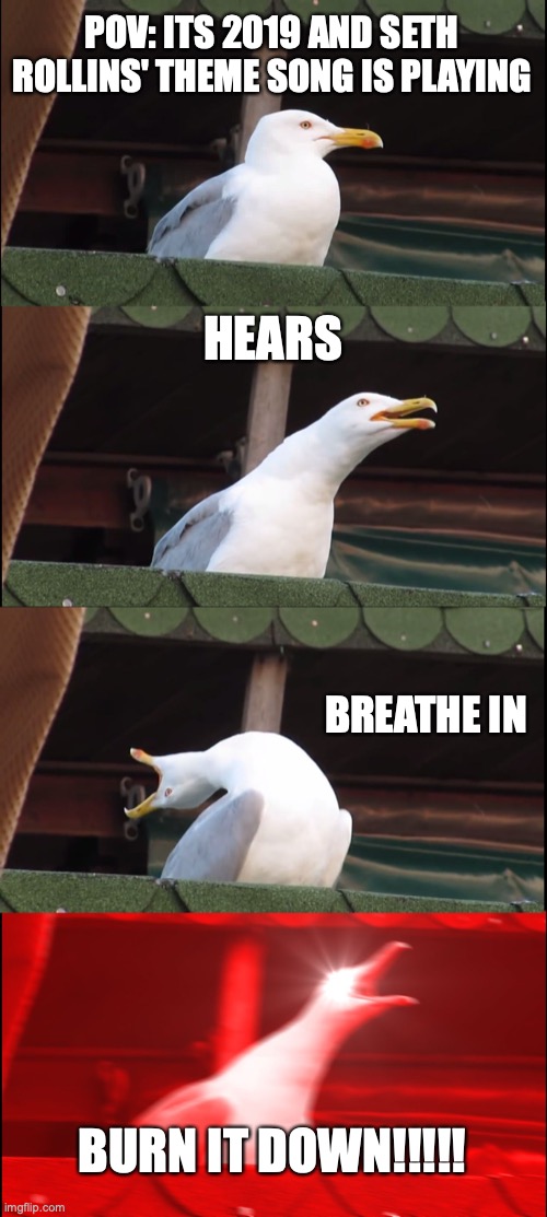 Inhaling Seagull Meme | POV: ITS 2019 AND SETH ROLLINS' THEME SONG IS PLAYING; HEARS; BREATHE IN; BURN IT DOWN!!!!! | image tagged in memes,inhaling seagull | made w/ Imgflip meme maker