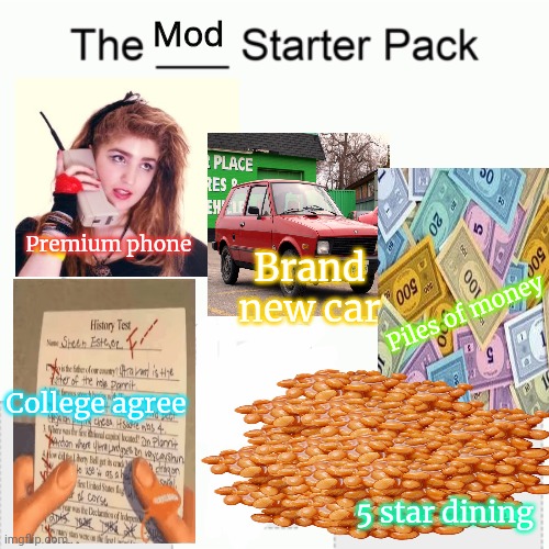 But why? Why would you do that? | Mod; Premium phone; Brand new car; Piles of money; College agree; 5 star dining | image tagged in starter pack,but why why would you do that,mods | made w/ Imgflip meme maker