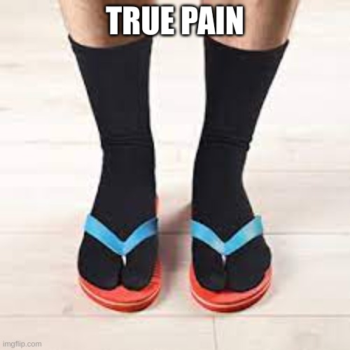 flip flop socks | TRUE PAIN | image tagged in socks and sandals | made w/ Imgflip meme maker