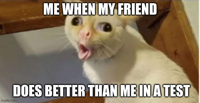 oof | ME WHEN MY FRIEND; DOES BETTER THAN ME IN A TEST | image tagged in memes,coughing cat | made w/ Imgflip meme maker