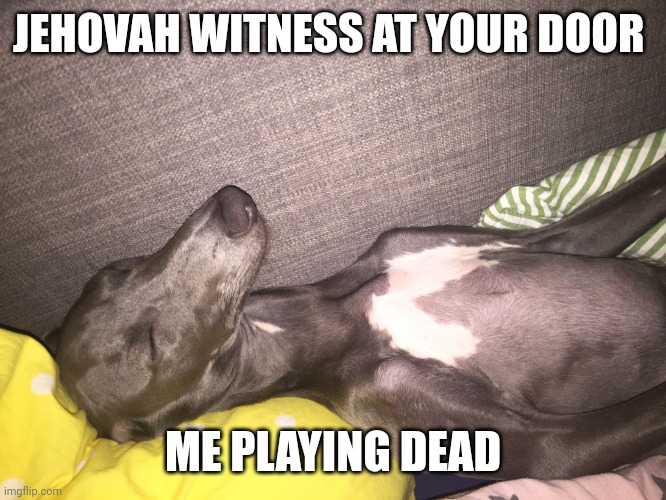 Stickdog | JEHOVAH WITNESS AT YOUR DOOR; ME PLAYING DEAD | image tagged in stickdog | made w/ Imgflip meme maker