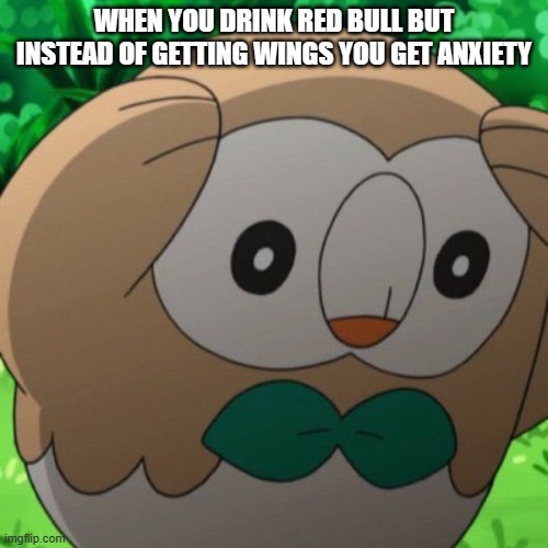 OH NO | WHEN YOU DRINK RED BULL BUT INSTEAD OF GETTING WINGS YOU GET ANXIETY | image tagged in rowlet meme template | made w/ Imgflip meme maker